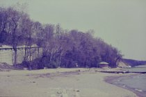 View north along the beach